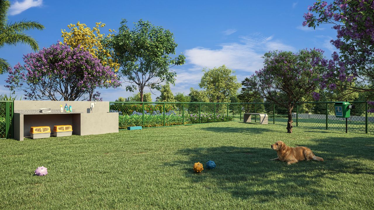 Área gramada de pet place com cachorro brincando